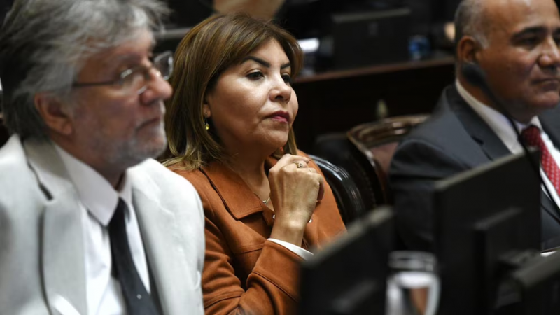 La frase de una senadora peronista que causó polémica: "No creo que el Gobierno llegue al 26 de octubre"